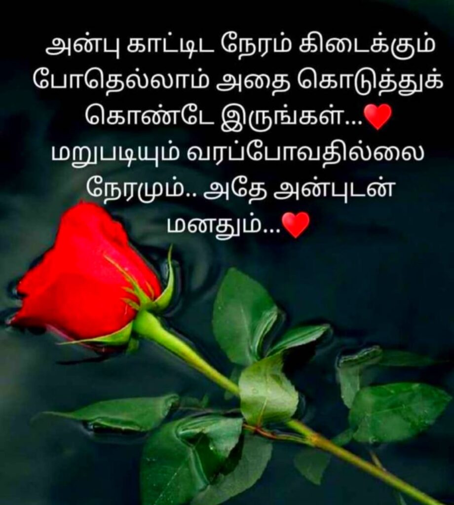 Love Tamil Dp For Whatsapp, Facebook, Instagram
