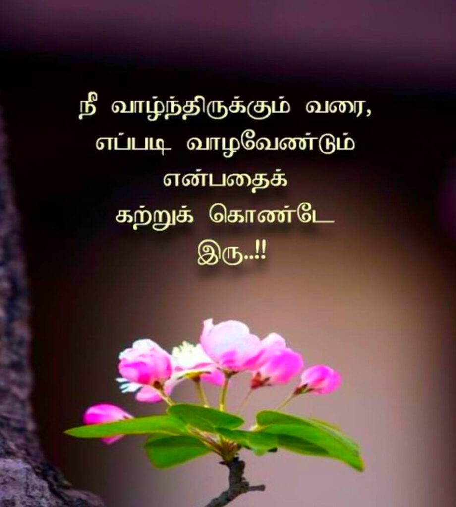 Tamil Dp For Instagram