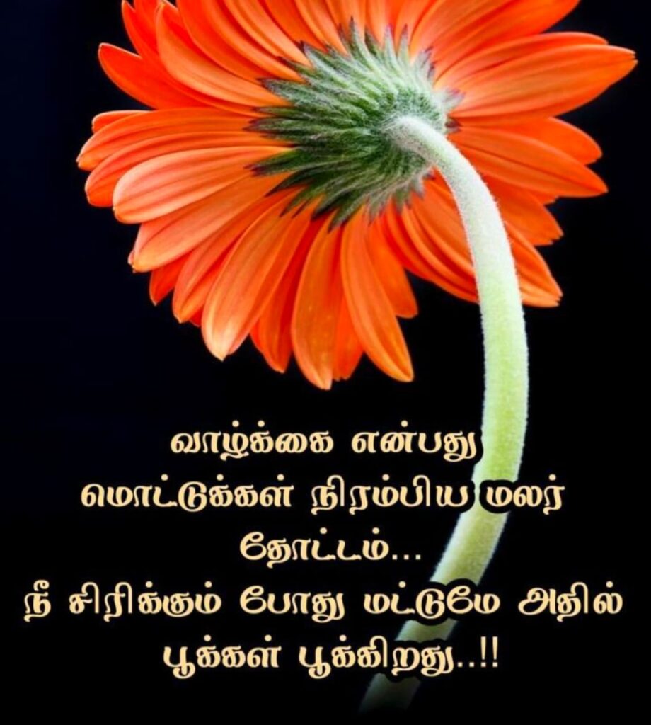 Whatsapp Dp Quotes Tamil Images Hd Download Free