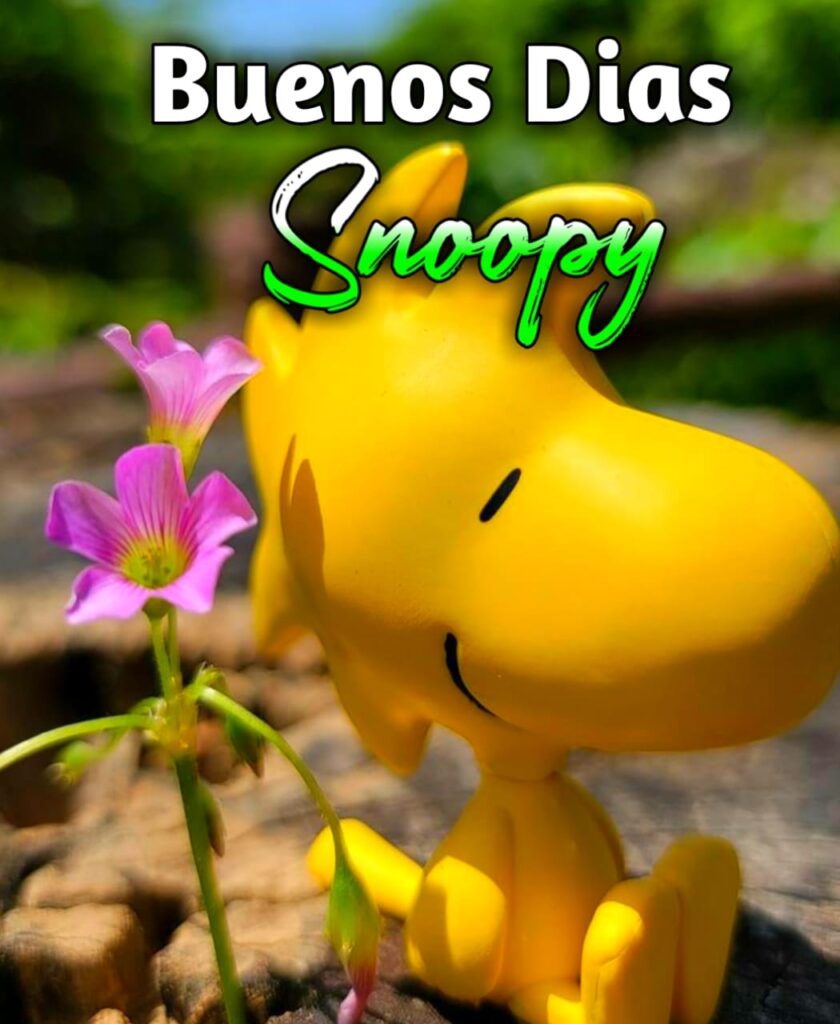 Buenos Dias Miercoles Snoopy
