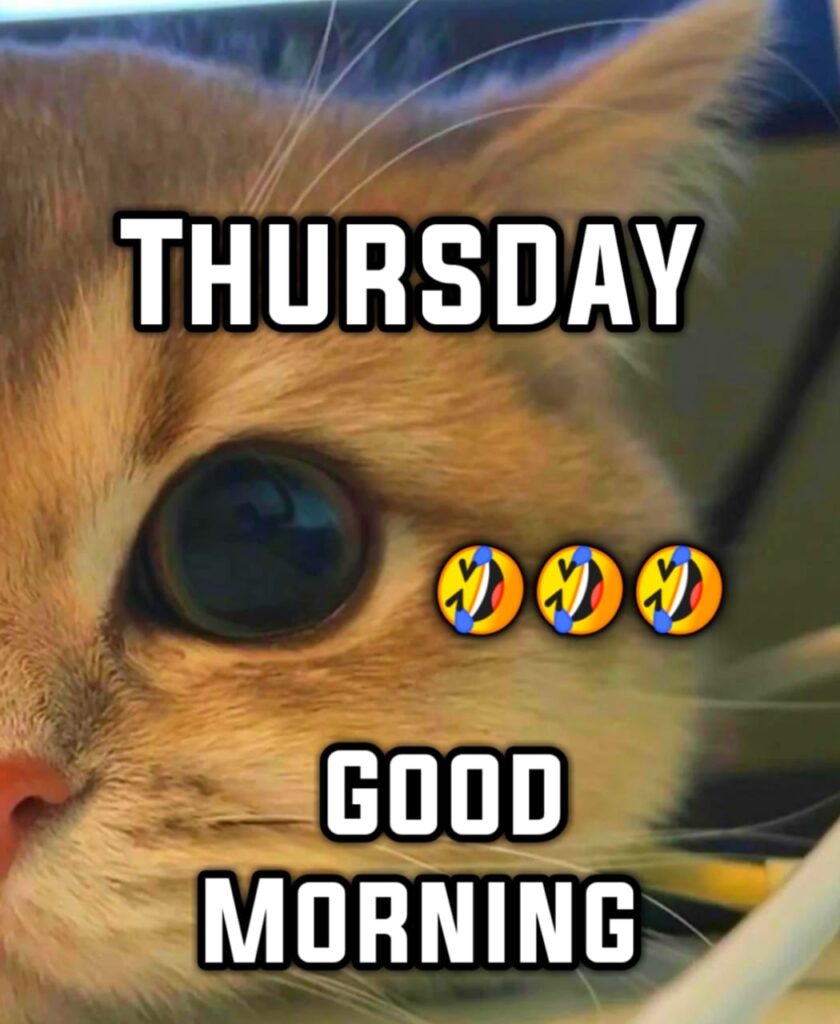 Good Morning Thursday Meme Pictures