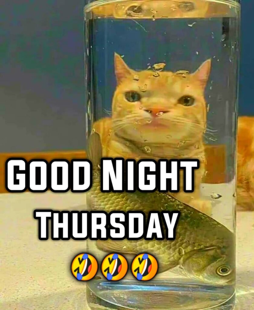 Good Night Thursday Meme