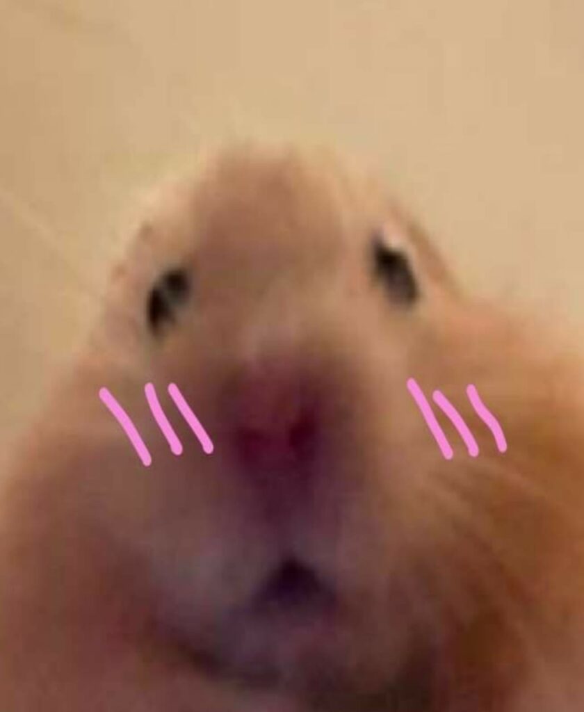 Hamster Dance Meme