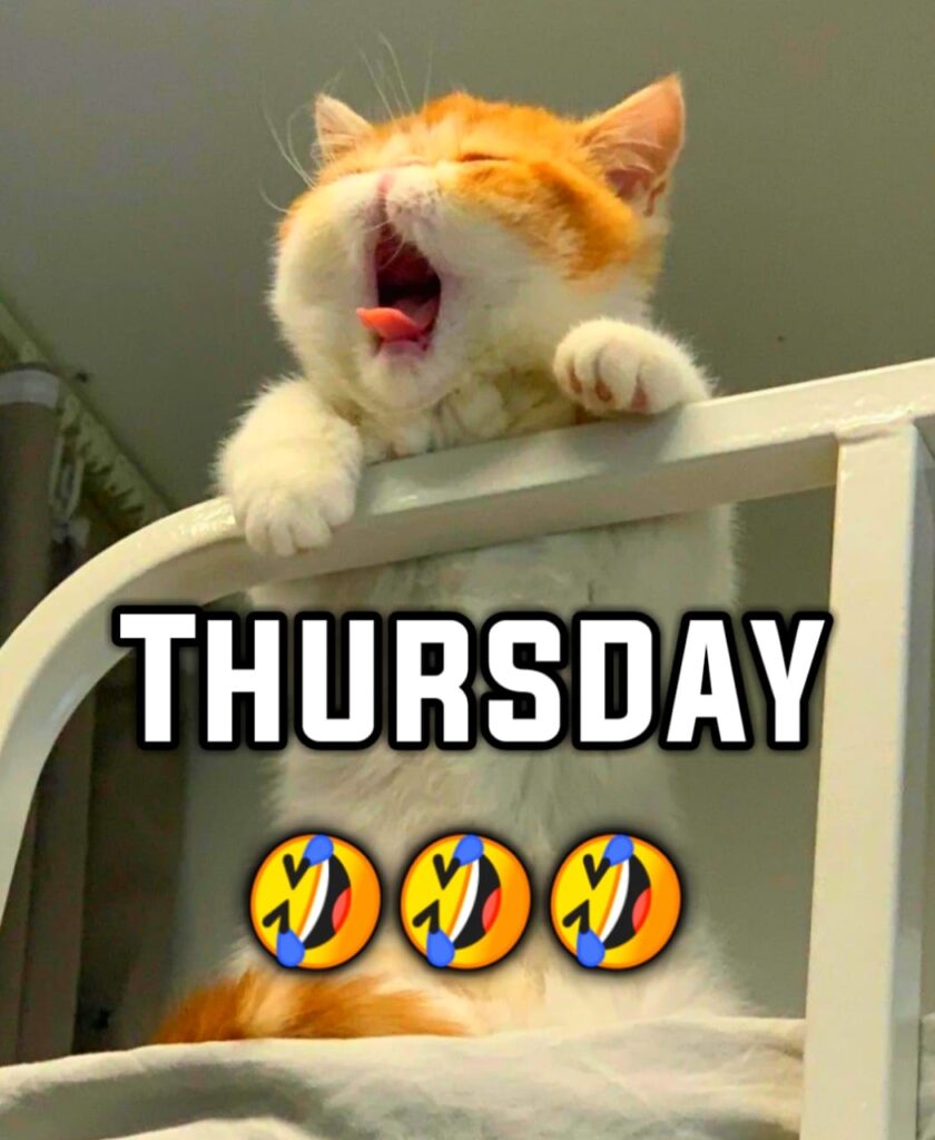 Thursday Memes Positive