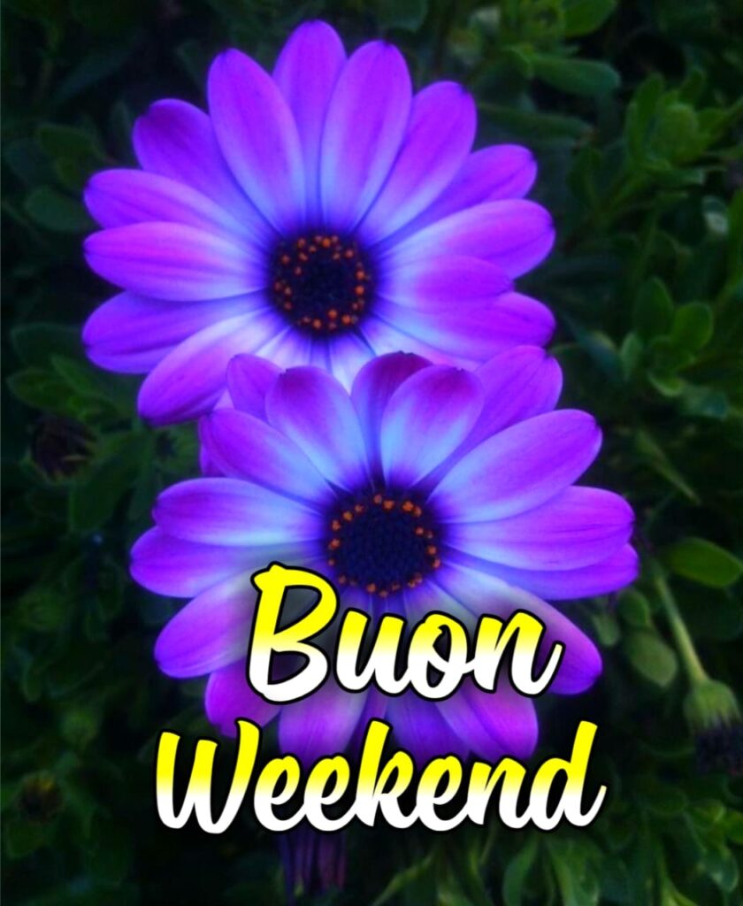 Buongiorno E Buon Weekend