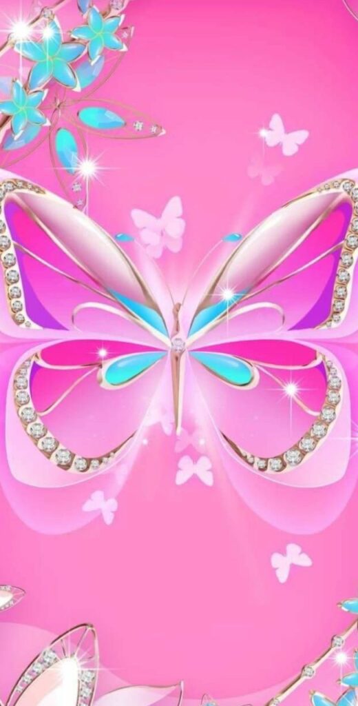 Butterfly Hd Wallpaper