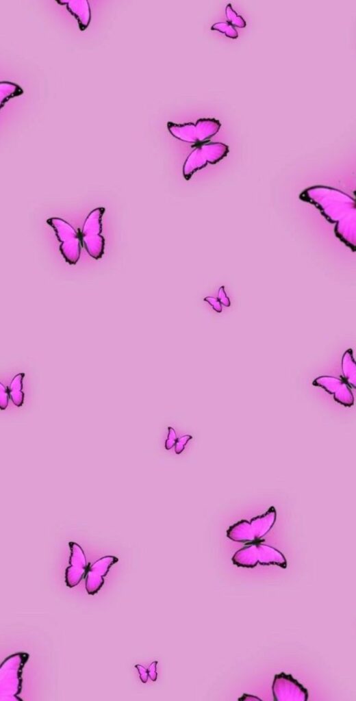 Butterfly Wallpaper 4k