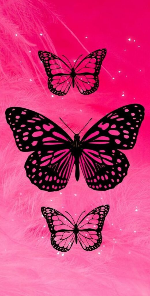 Butterfly Wallpaper Hd