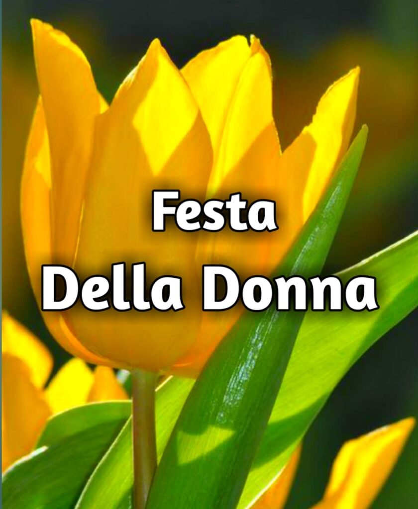 Immagini Mimosa Festa Della Donna