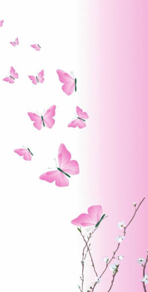 Wallpaper Pink Butterfly